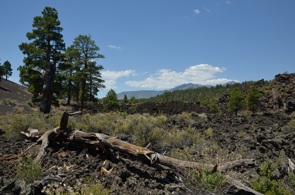 sunset crater volcano