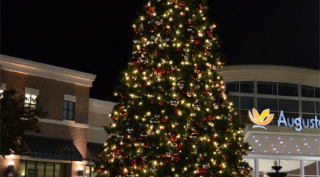 Sapin de Noël au Mall