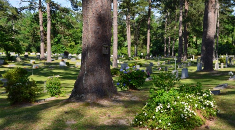  Westover Memorial Cemetery (2)