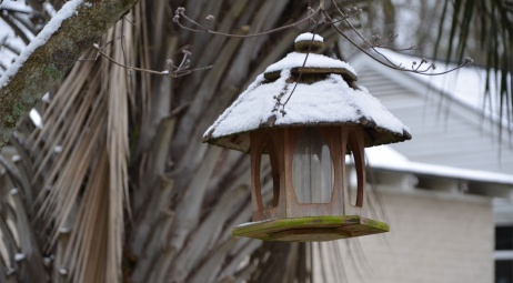 Cabane dans un arbre