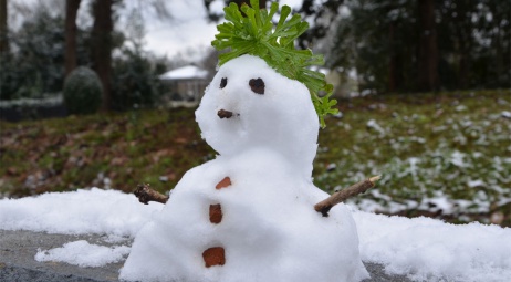 Snowman with hair