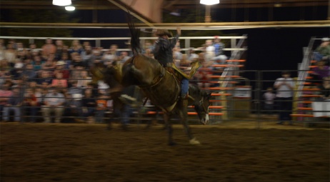 Bronc riding, maîtrise...