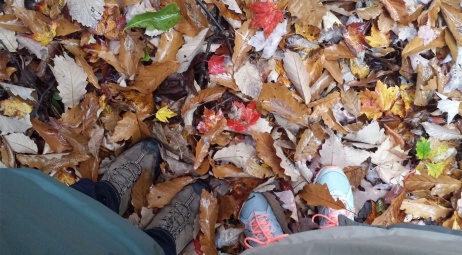 Nos pieds sur le Chestnuts Tree Trail
