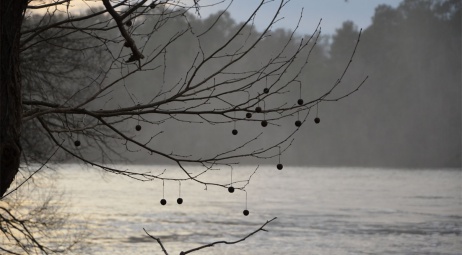 Déco de Noël naturel ?