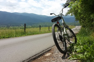 Loap Road Cades Cove