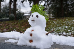 snowman