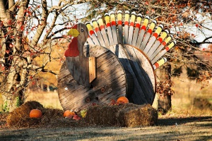 Thanksgiving turkey