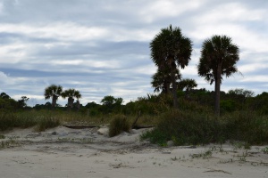 Jekyll Island - ETAPE 1 Floride