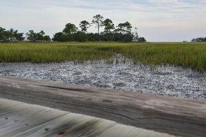 Hunting Island - Marsh Boardwalk