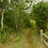 Cape Cod, sur les traces des Pilgrims