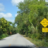 Loop Road Scenic Drive - ETAPE 3 Les Everglades