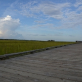 Hunting Island - Marsh Boardwalk