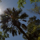 Beauté du ciel bleu de Floride - ETAPE 4 Crystal River