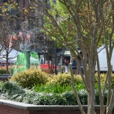 Savannah St Patrick - les fontaines sont vertes