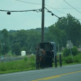 Lancaster, carriole Amish