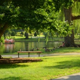 Boston, Public Garden et ses canards