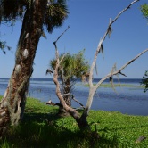 Lake George Trail - ETAPE 3 Floride Ocala