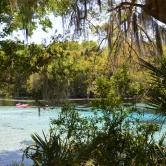 Silver Glen Springs Recreation - ETAPE 3 Floride Ocala
