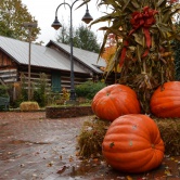 Fall Great Smoky - Cherokee, village décorée pour Halloween